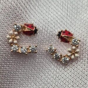 Par de Aros de Plata 925 Diseño Mariquita