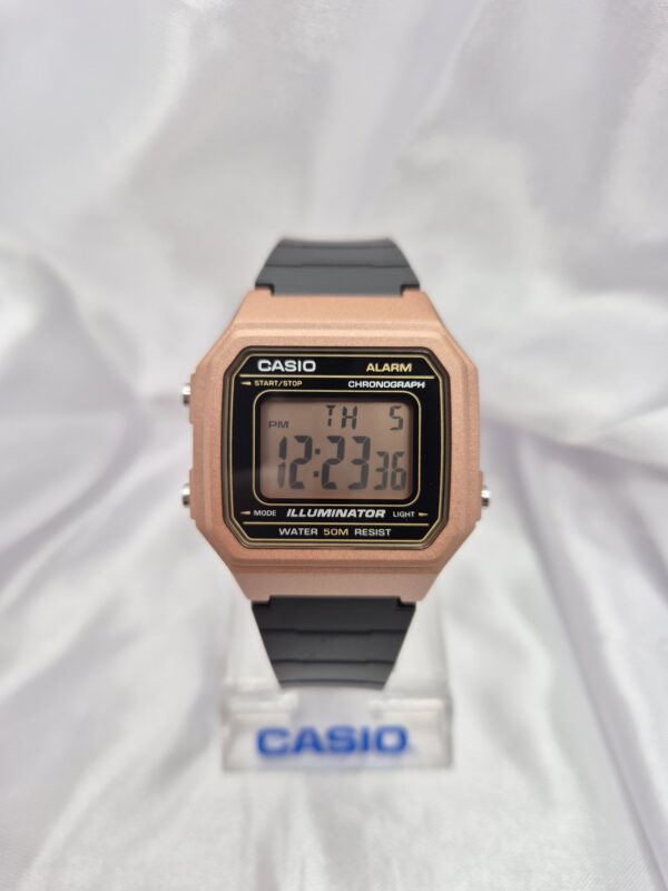 Reloj Casio Estilo Vintage Modelo W-217HM-5AVDF