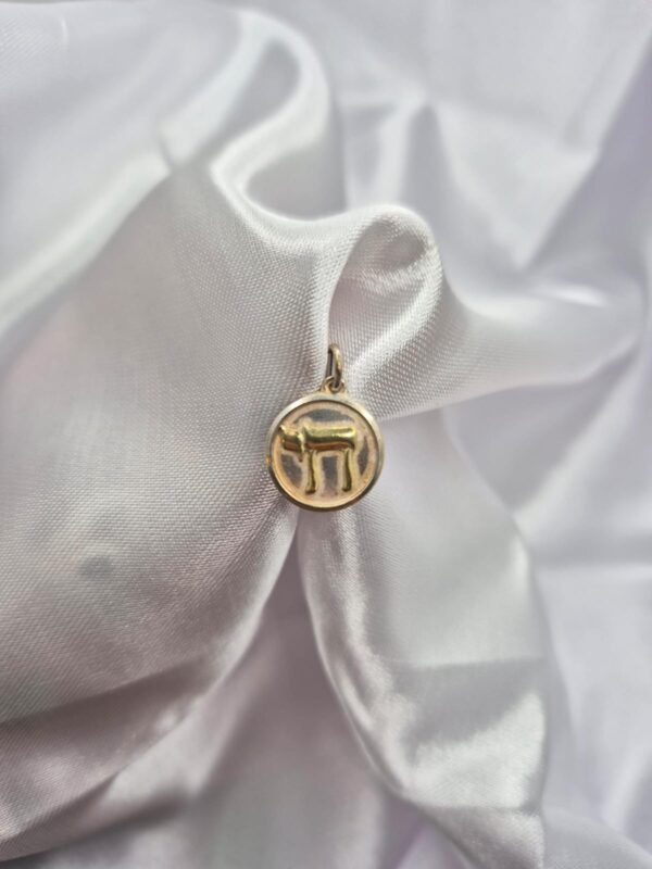 Dije de Plata 925 y Oro Diseño Jai