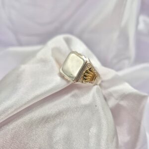 Dije de Plata 925 y Oro de San Benito Centro Dorado